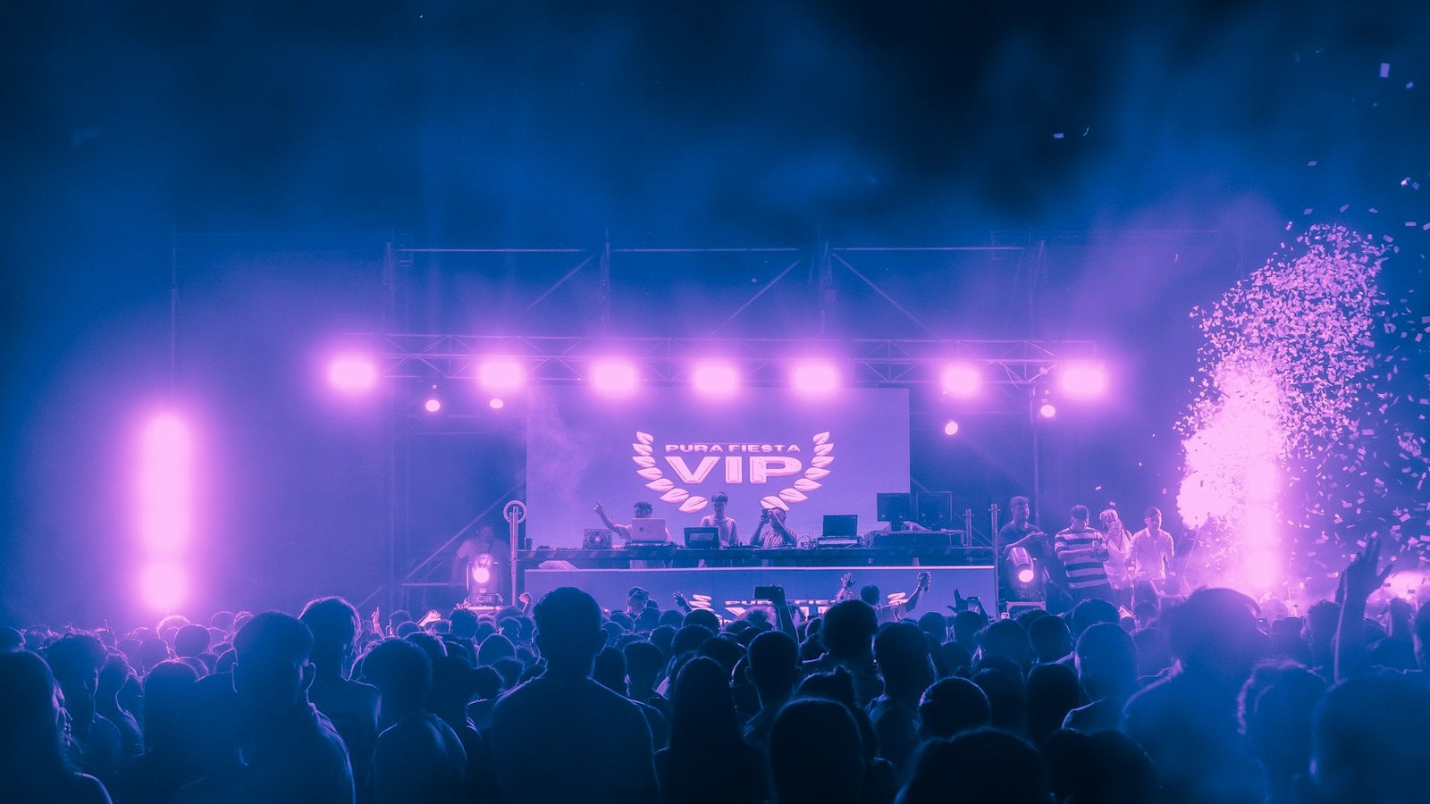 Fans celebrating at a live concert